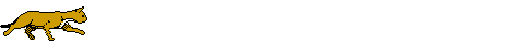 aacat.gif (7834 bytes)