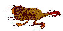 nturkey2.gif (1736 bytes)